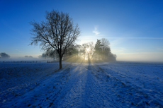 Der Niederrhein: Winterzauber