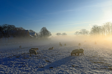 Der Niederrhein: Winterzauber