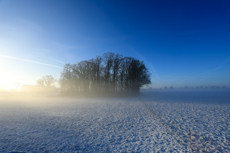 Der Niederrhein: Winterzauber