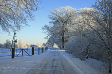 Der Niederrhein: Winterzauber