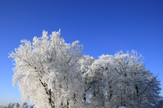 Der Niederrhein: Winterzauber