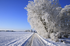 Der Niederrhein: Winterzauber