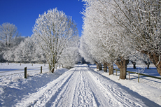 Der Niederrhein: Winterzauber