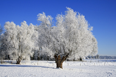 Der Niederrhein: Winterzauber