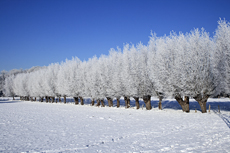 Der Niederrhein: Winterzauber