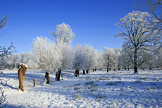 Der Niederrhein: Winterzauber