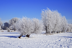 Der Niederrhein: Winterzauber