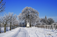 Der Niederrhein: Winterzauber