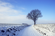 Der Niederrhein: Winterzauber