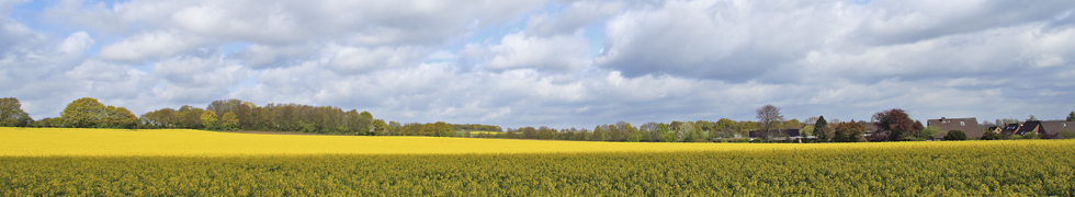 Frühling am Niederrhein