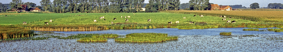 Frühling am Niederrhein