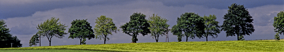 Frühling am Niederrhein