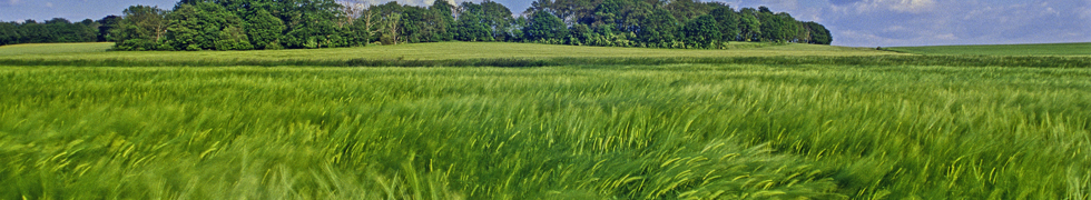 Frühling am Niederrhein