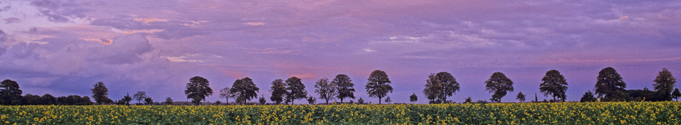 Frühling am Niederrhein