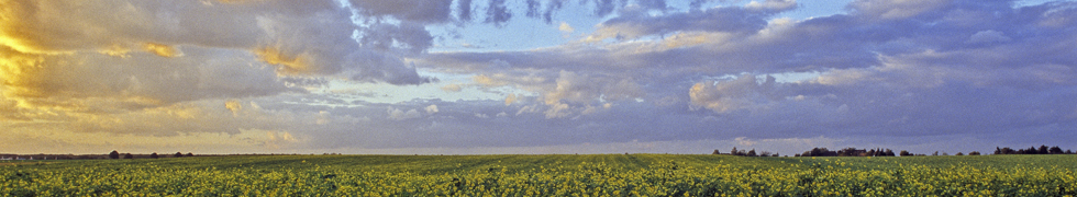 Frühling am Niederrhein