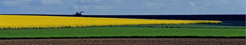 Frühling am Niederrhein
