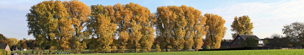 Der Kürbis am Niederrhein