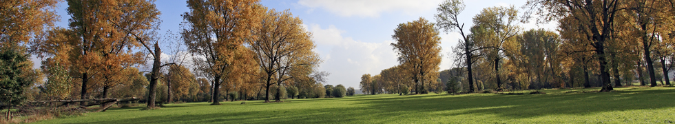 Der Kürbis am Niederrhein