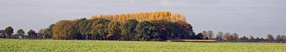 Düsseldorf Rheinaue