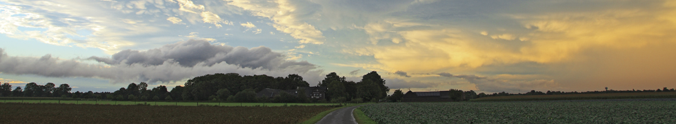 Kirschblüte am Niederrhein