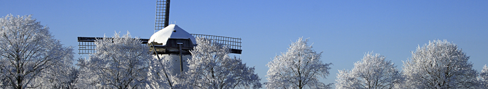 Kirschblüte am Niederrhein