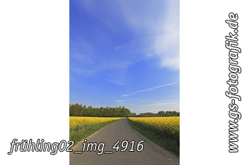 Bild in den Warenkorb legen