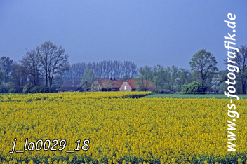 Bild in den Warenkorb legen