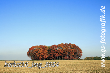 Bild in den Warenkorb legen